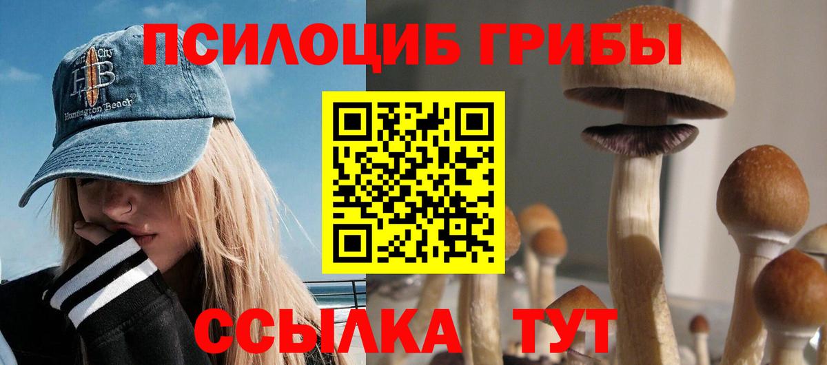 Псилоцибиновые грибы Psilocybine cubensis Орёл